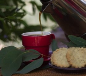 Wattleseed coffee (Caysha)