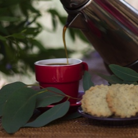 Wattleseed coffee (Caysha)