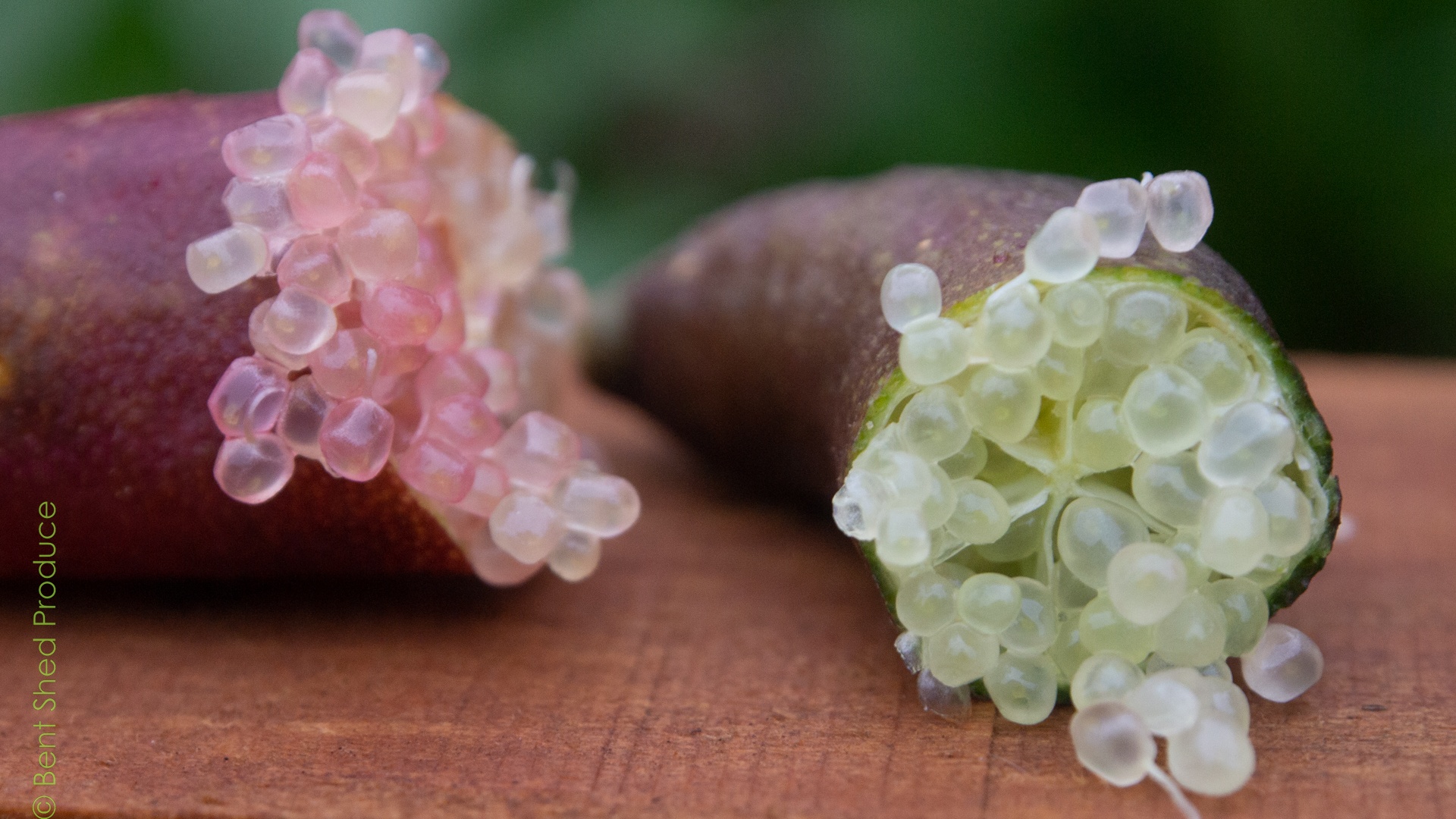 Closeup of Finger Limes Two Finger Limes are seen in extreme close-up. The left has a pink skin and pinky bubbles, while the right has a green-purple skin and pale lime green bubbles.